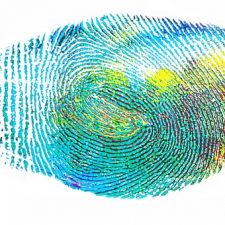 fingerprint-328992__340